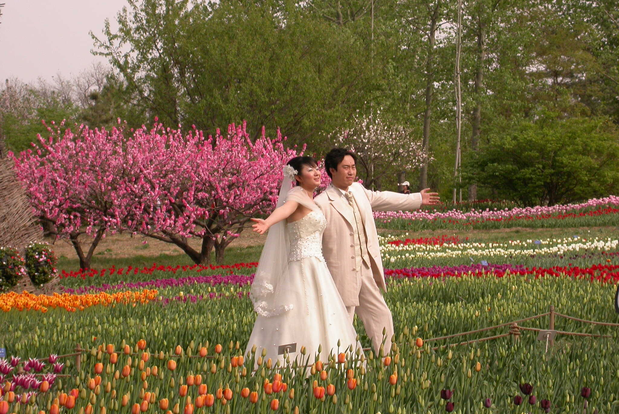 Chinese Wedding Couple